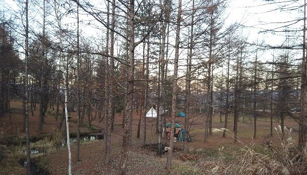 北軽井沢　どんぐり山の一番星キャンプ場